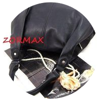 zormax logo